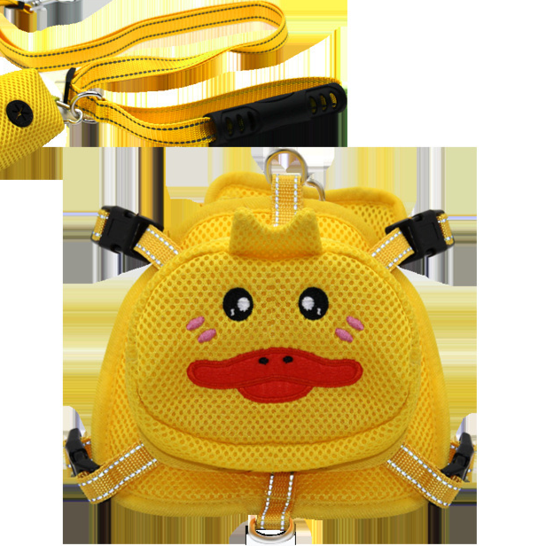 The pet goes out in its backpack